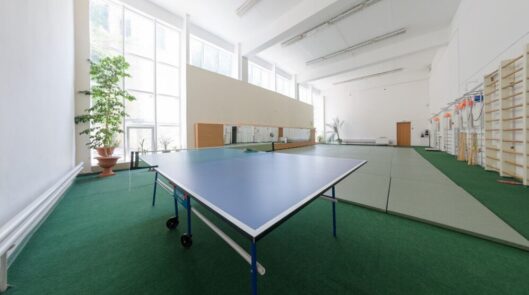 Настольный теннис